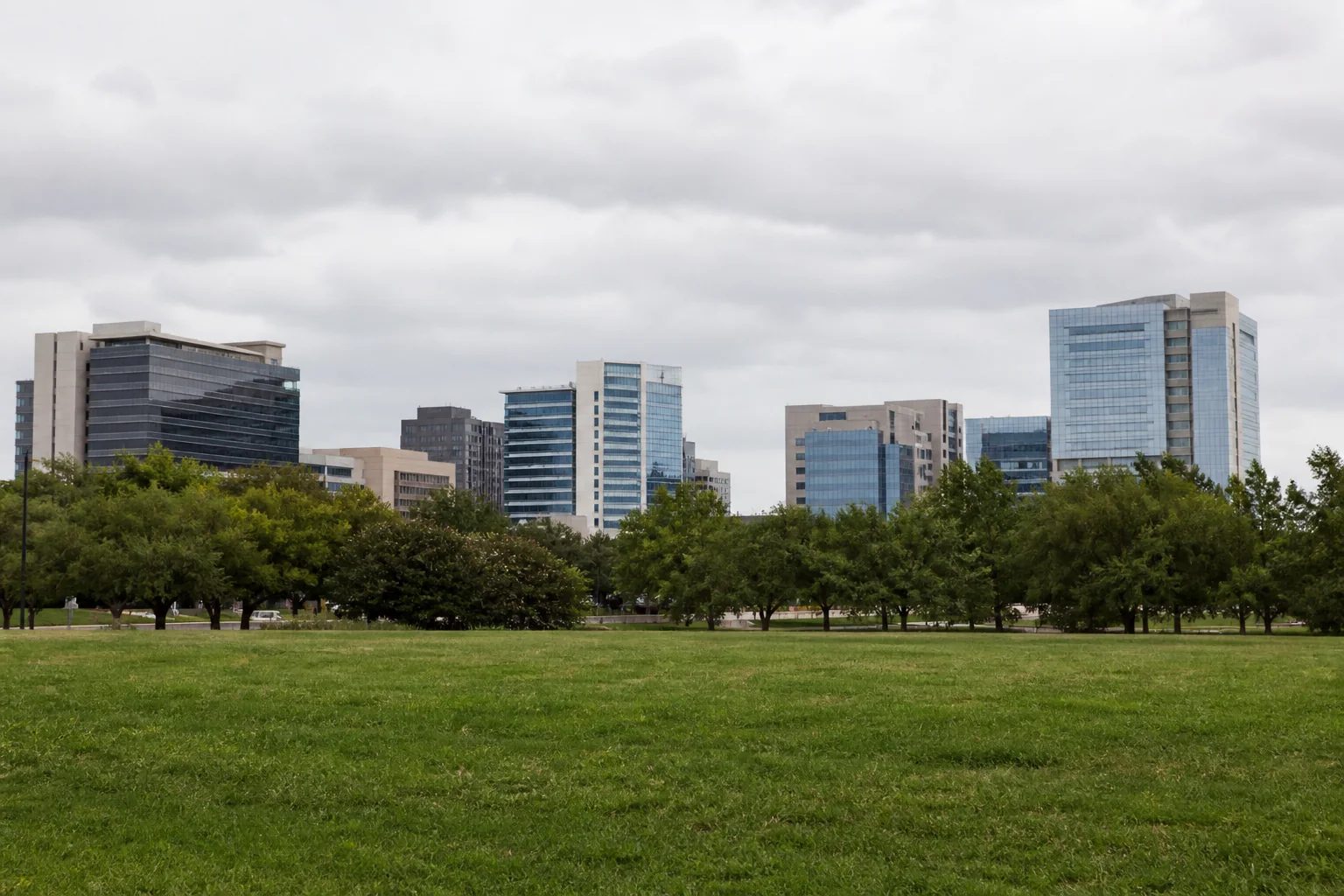 The Texas Medical Center towers seen from the open lawn of a nearby Houston park